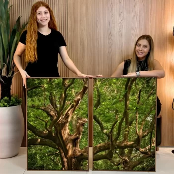 Kit Quadro Decorativo Árvore Galhos Verdes