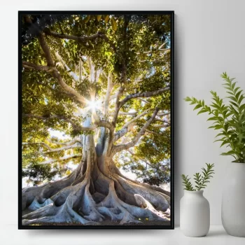 Quadro Decorativo Fotografia Árvore Da Vida