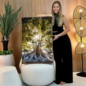 Quadro Decorativo Fotografia Árvore Da Vida