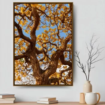 Quadro Decorativo Árvore Com Folhes Amarelas