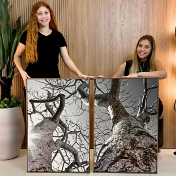 Kit Quadro Decorativo Árvore Seca
