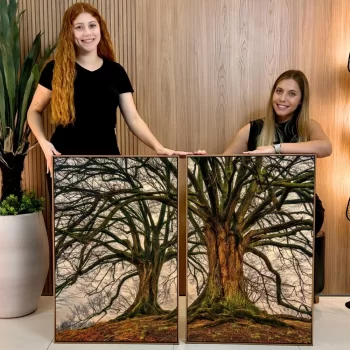 Kit Quadro Decorativo Árvores Envelhecidas