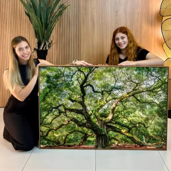 Quadro Decorativo Angel Oak