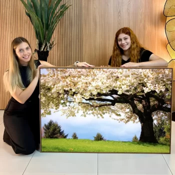 Quadro Decorativo Árvore Florida