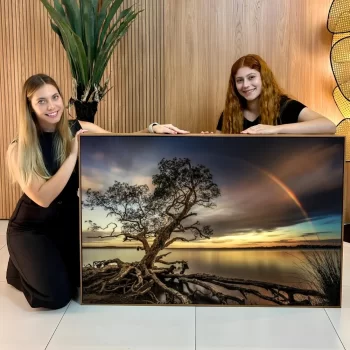 Quadro Decorativo Árvore Com Raizes