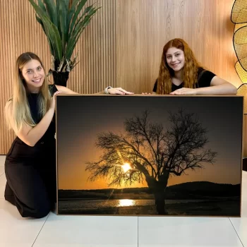 Quadro Decorativo Pôr Do Sol