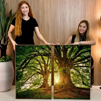 Kit Quadro Decorativo Composição Árvore