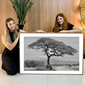 Quadro Decorativo Savana II