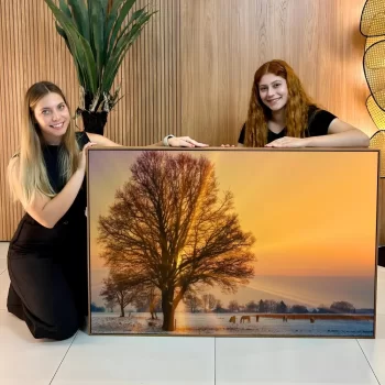 Quadro Decorativo Paisagem Haras