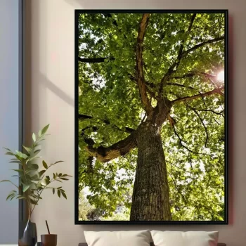 Quadro Decorativo Árvore Verde Solo