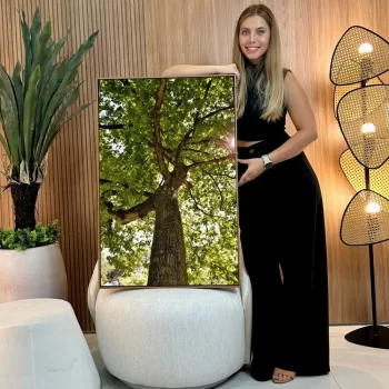 Quadro Decorativo Árvore Verde Solo