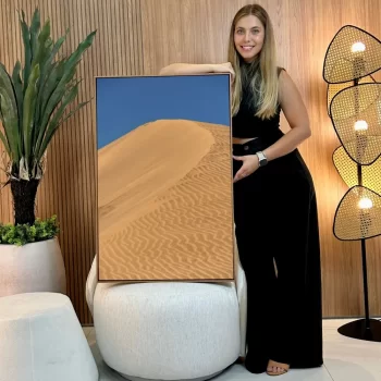 Quadro Decorativo Dunas II