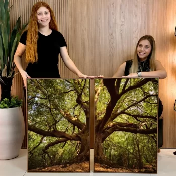 Kit Quadro Decorativo Árvore Verde