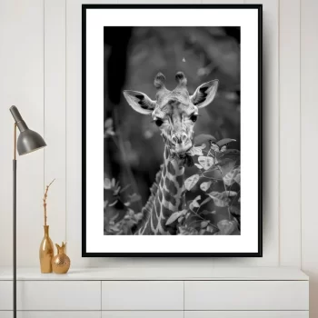Quadro Decorativo Girafa Comendo