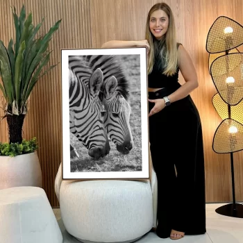 Quadro Decorativo Família De Zebras
