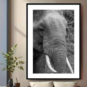 Quadro Decorativo Savana Elefante P&B I