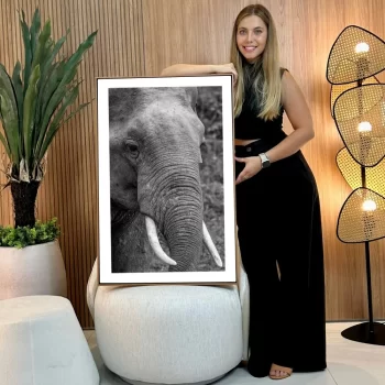 Quadro Decorativo Savana Elefante P&B I