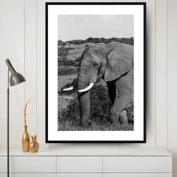 Quadro Decorativo Savana Elefante P&B II