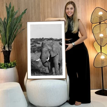 Quadro Decorativo Savana Elefante P&B II