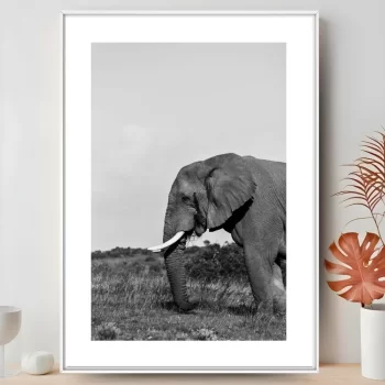 Quadro Decorativo Savana Elefante P&B III