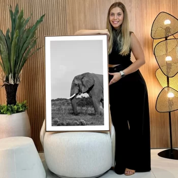 Quadro Decorativo Savana Elefante P&B III