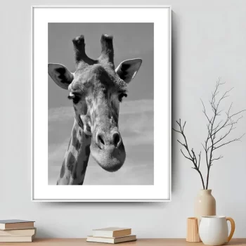 Quadro Decorativo Girafa Savana II