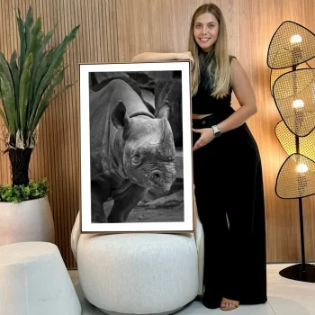 Quadro Decorativo Rinoceronte
