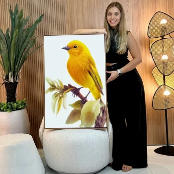 Quadro Decorativo Canário