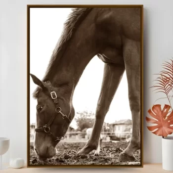 Quadro Decorativo Cavalo Sépia I