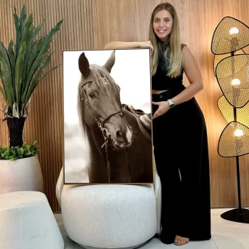 Quadro Decorativo Cavalo Sépia II