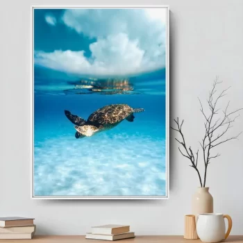 Quadro Decorativo Tartaruga I