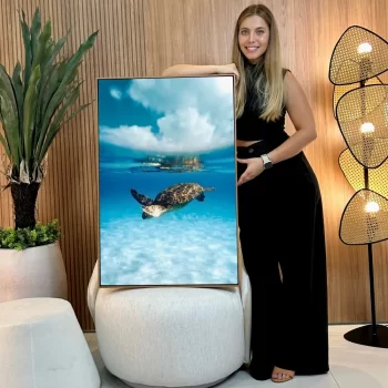 Quadro Decorativo Tartaruga I