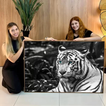 Quadro Decorativo Tigre Olhos Azuis