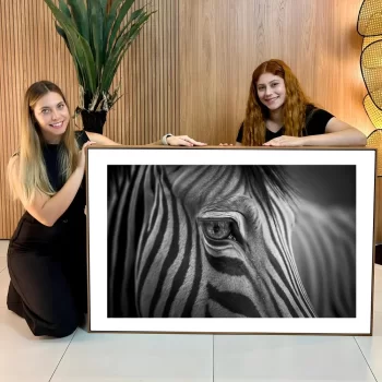 Quadro Decorativo Zebra P&B