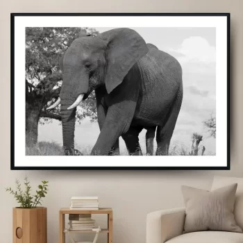 Quadro Decorativo Elefante P&B l