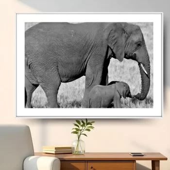 Quadro Decorativo Elefante Com Filhote