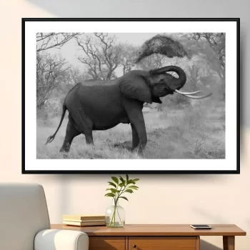 Quadro Decorativo Elefante P&B ll