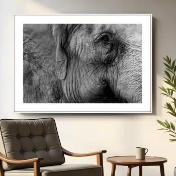Quadro Decorativo Elefante P&B lll