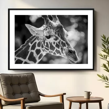 Quadro Decorativo Girafa P&B l
