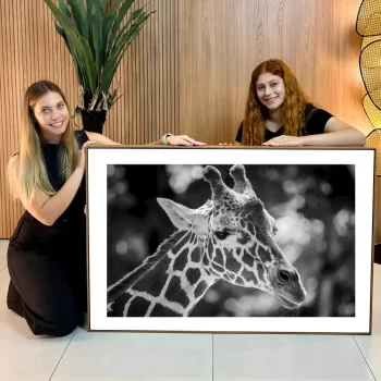 Quadro Decorativo Girafa P&B l