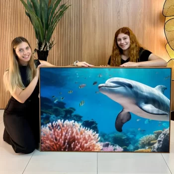 Quadro Decorativo Animal Marinho Golfinho