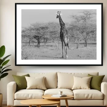 Quadro Decorativo Girafa P&B ll