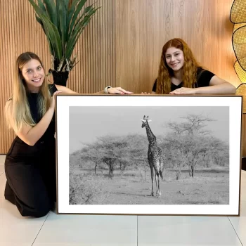 Quadro Decorativo Girafa P&B ll