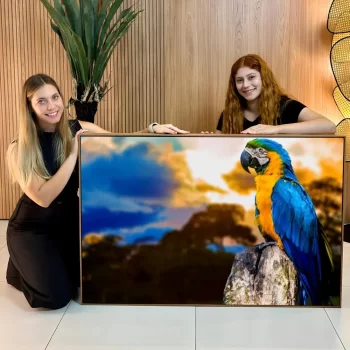 Quadro Decorativo Arara Brasil