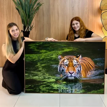 Quadro Decorativo Tigre Rio