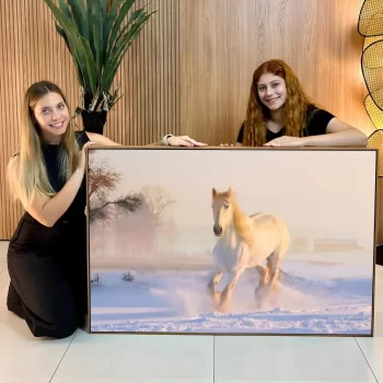Quadro Decorativo Cavalo Branco