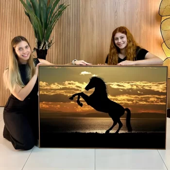 Quadro Decorativo Cavalo Pôr Do Sol