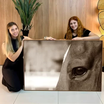 Quadro Decorativo Cavalo Sépia ll