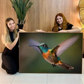 Quadro Decorativo Beija-Flor