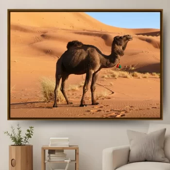 Quadro Decorativo Camelo l